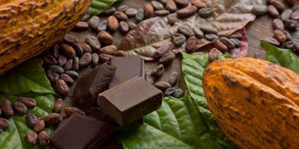 Organic Chocolate Market Insights, Component, Demand, Company Profiles, Industry Trends And Updates Till 2030