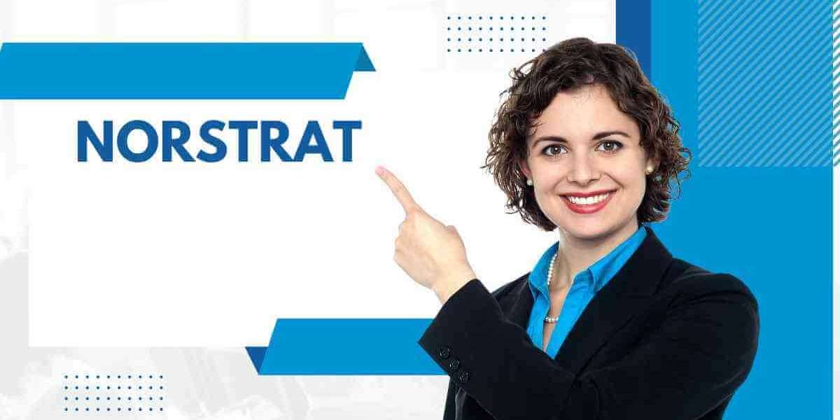 Norstrat: Pioneering the Future of Strategic Management