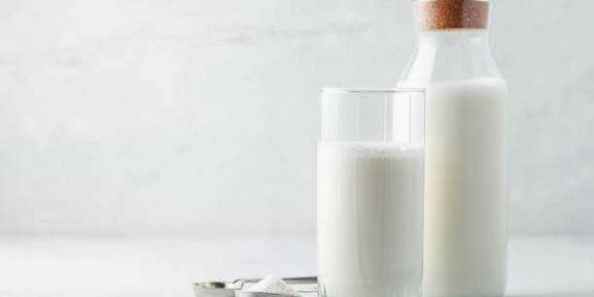 Skim Milk Powder Market Insights Service-Types, Development, Share, User-Demand, Industry Size 2030