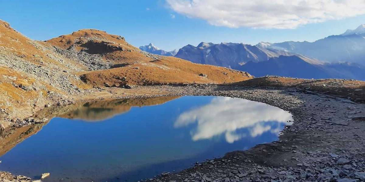 Bhrigu Lake Trek with alpine trees