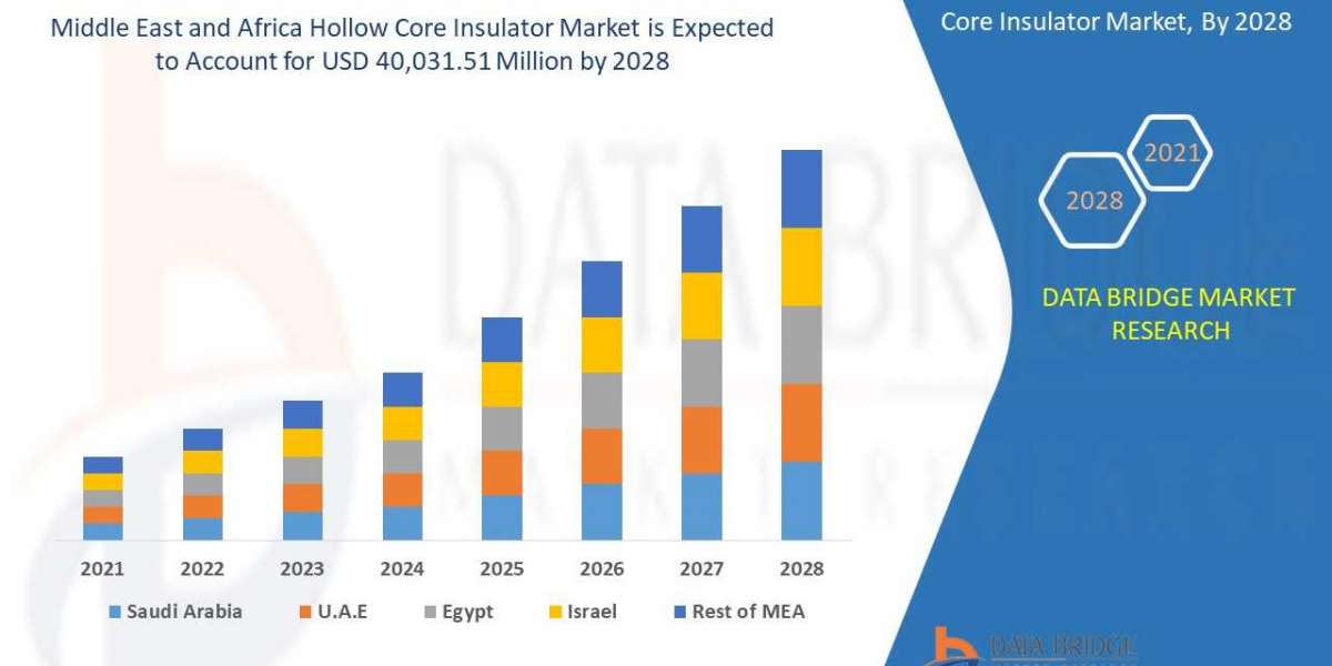 Middle East and Africa Hollow Core Insulator Market Size, Global Industry Trends and Forecast to 2029