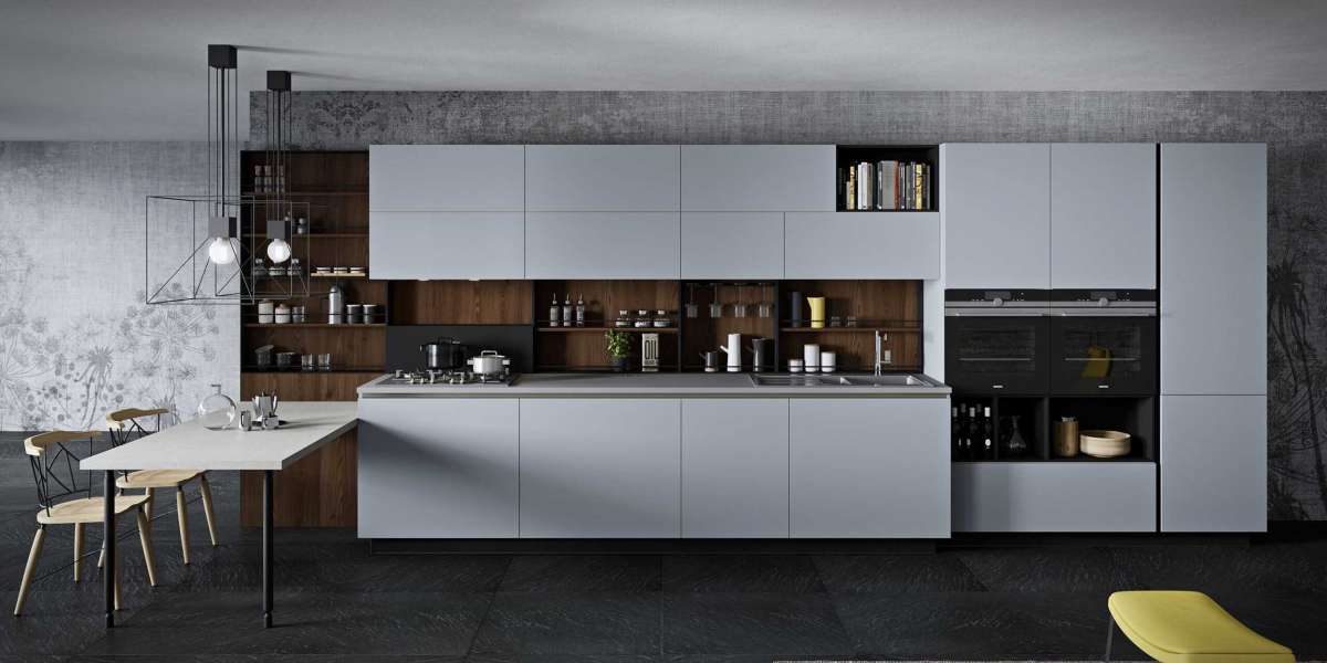 Unleash the Elegance: Modern European Kitchen Cabinets