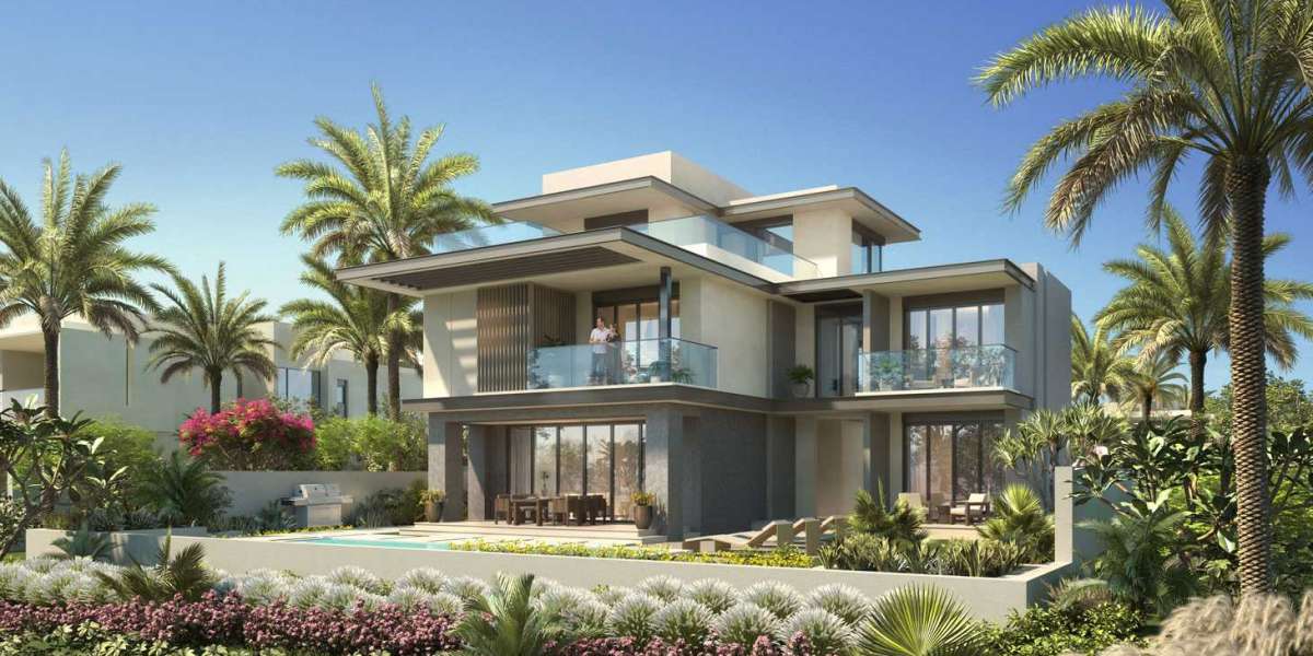 Exploring Real Estate Options in Jebel Ali Village Dubai