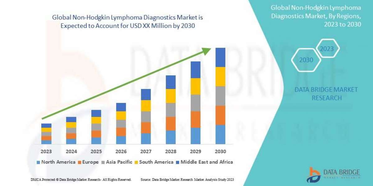 Non-Hodgkin Lymphoma Diagnostics Market Overview, Growth Forecast to 2030, Demand and Development Research Report