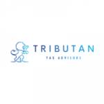 Tributan Tax Advisor Profile Picture