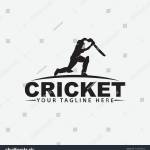 cricket game Profile Picture