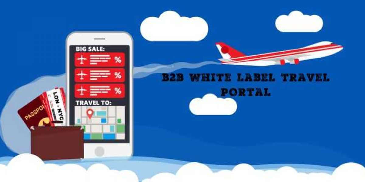 How to Choose the Right B2B White Label Travel Portal for Your Travel Agency?