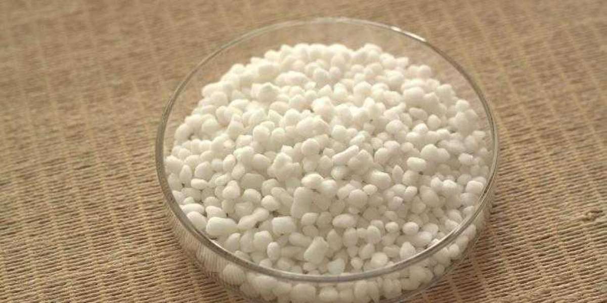Calcium Ammonium Nitrate Market Size, Share, Growth, Demand & Trends by 2032