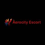 Escort Aerocity Profile Picture