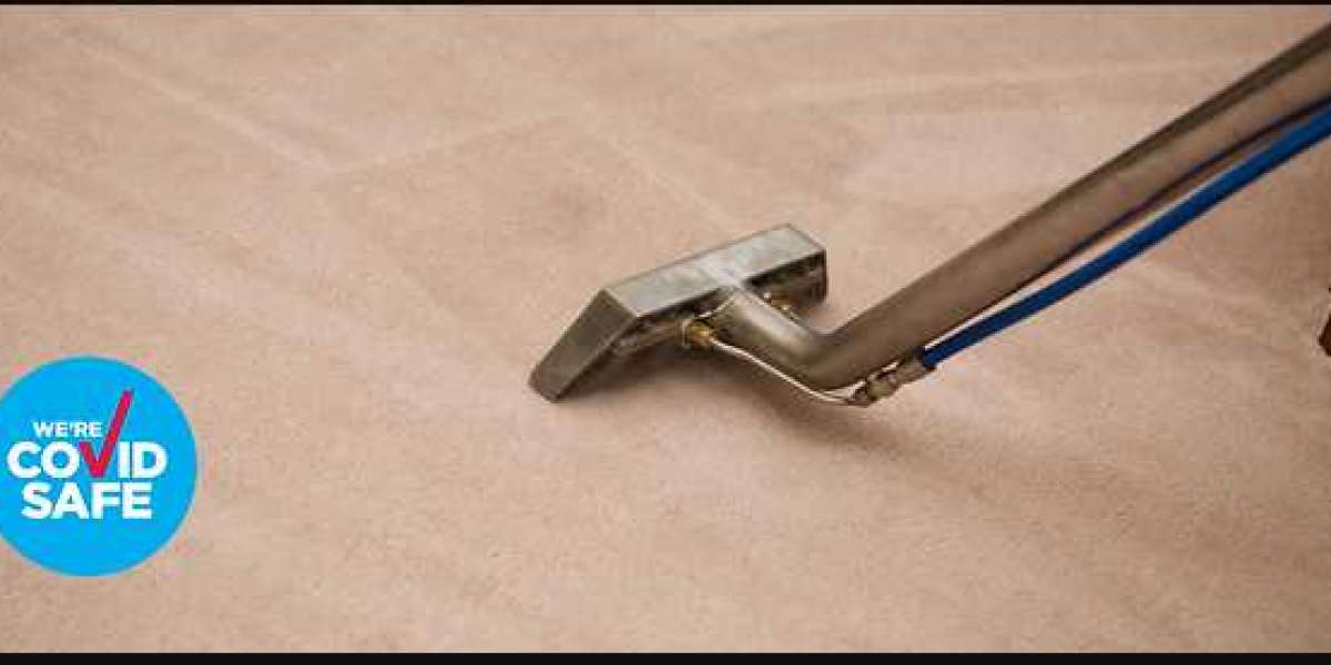 Carpet cleaning services in Sydney - quick, reliable, and effective