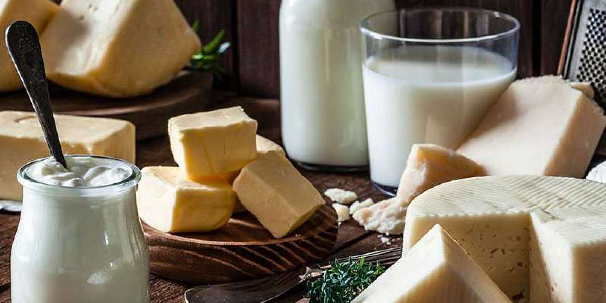Dairy Protein Market Analysis 2023-2028, Industry Size, Share, Trends and Forecast