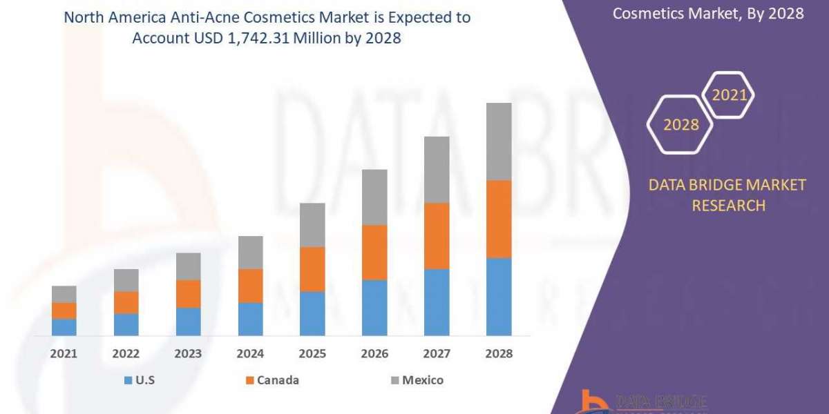 North America Anti-Acne Cosmetics Trends, Drivers, and Restraints: Analysis and Forecast by 2028