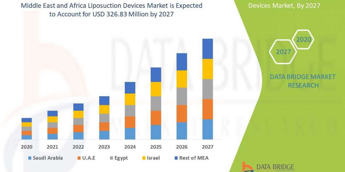 Middle East and Africa Liposuction Devices Industry Analysis, Key Players, Segmentation, Application and Forecast