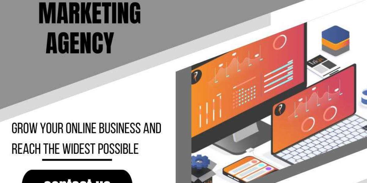 BEST DIGITAL MARKETING AGENCY IN DELHI