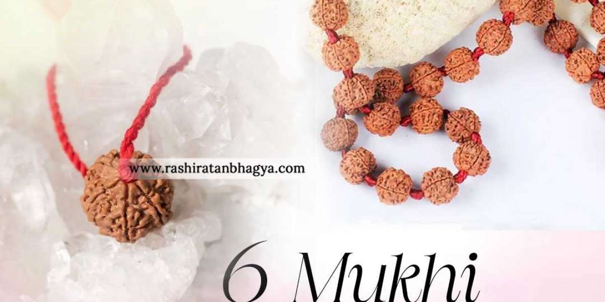 Original 6 Mukhi Rudraksha Online Best Price in India.