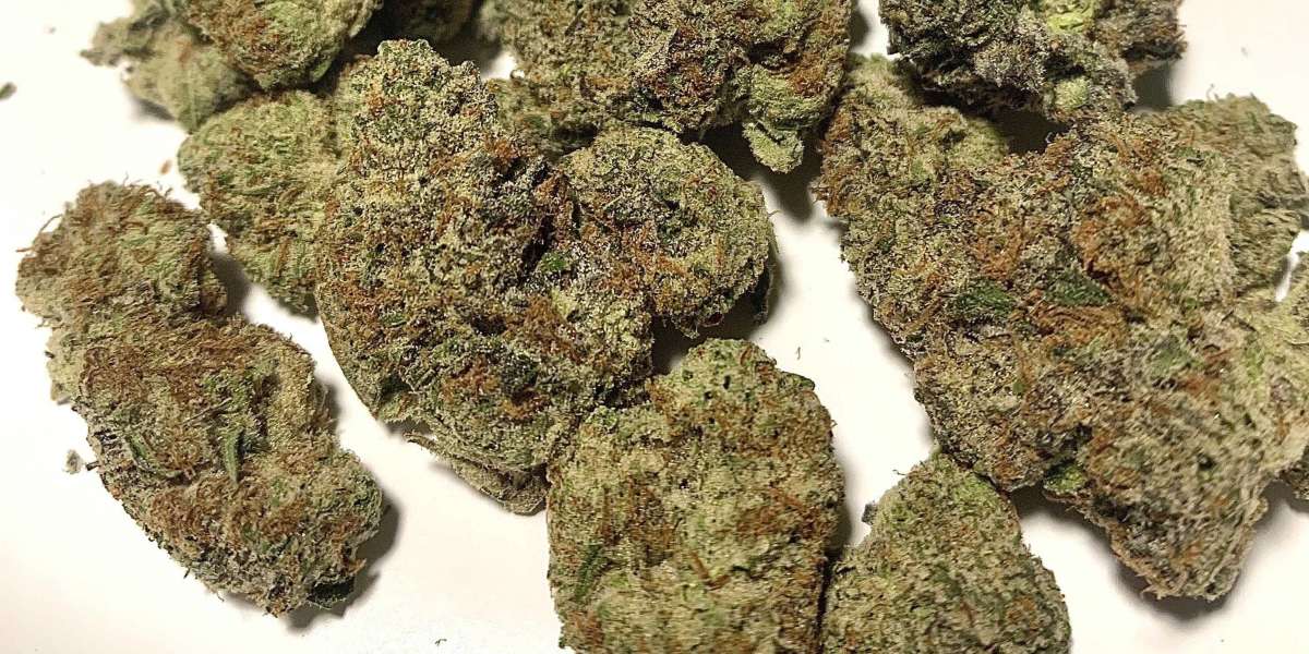 Buy Quantum Kush Marijuana Strain