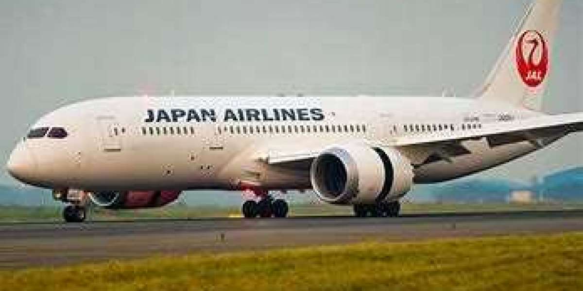 Japan Airlines name, date and flight change policy