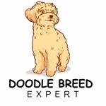 Doodle Breed Expert Profile Picture