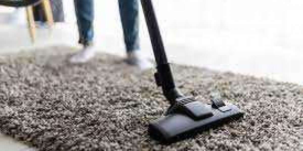 Elevate Your Living with Professional Carpet Cleaning