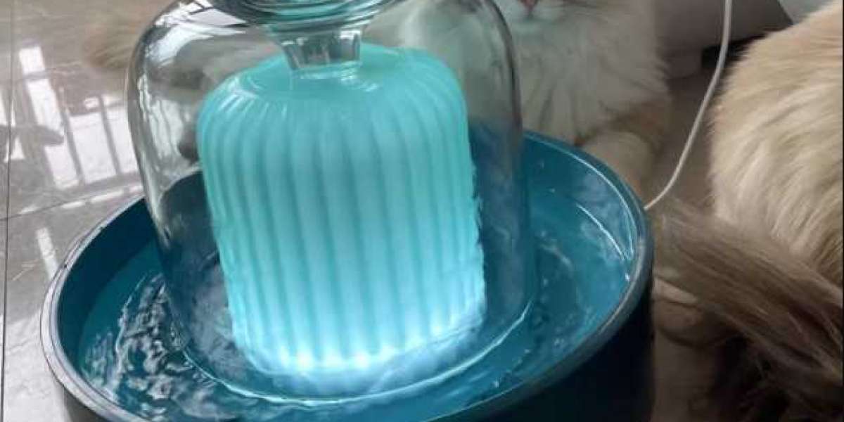 Pawoof Cat Water Fountain: Hydration Innovation