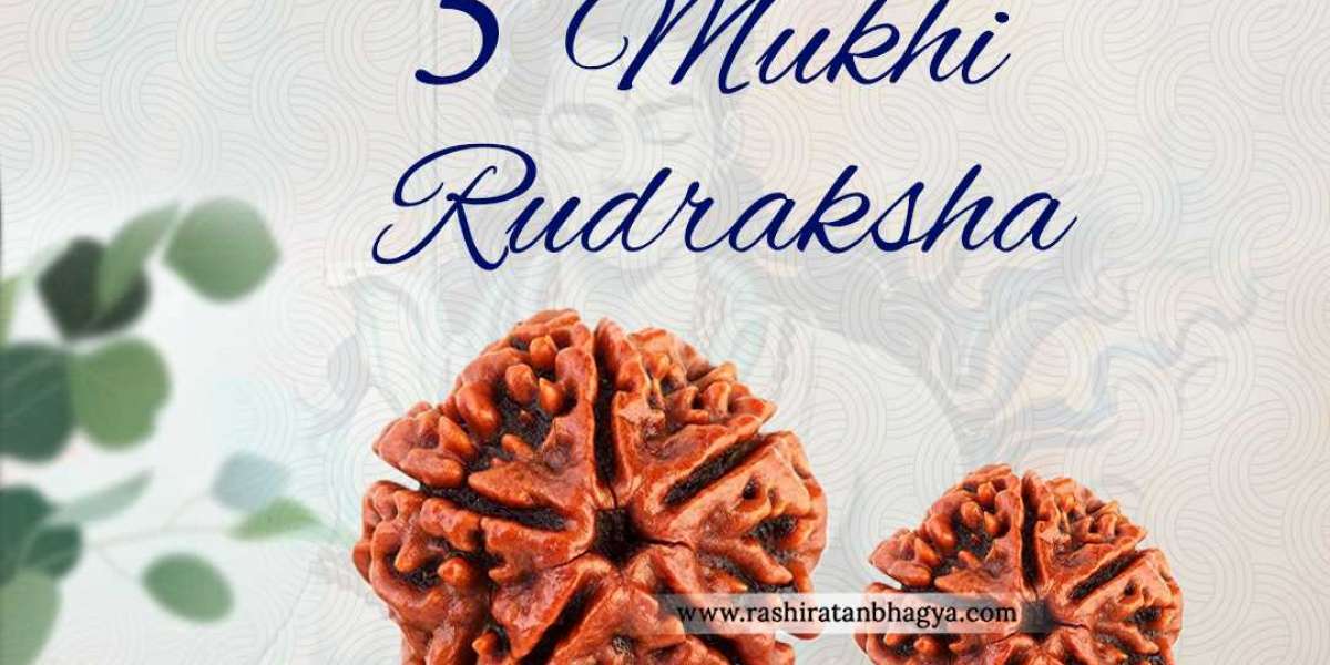 Buy Certified 5 Mukhi Rudraksha Online in India
