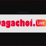 dagachoi live Profile Picture