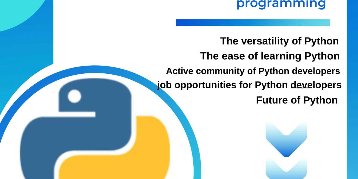 Why Are Python Courses the Most Popular Choice Among Students in 2023?