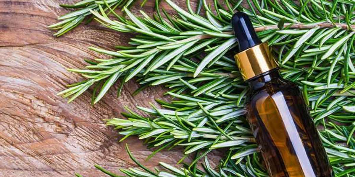 From Kitchen to Beauty Cabinet: Exploring the Versatile Applications of Rosemary Oil