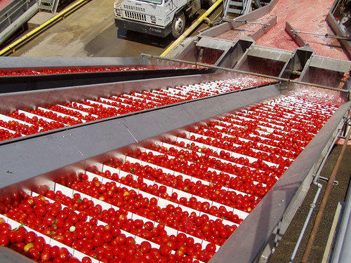 Buy Tomato Processing Machinery from Gem Drytech Systems LLP