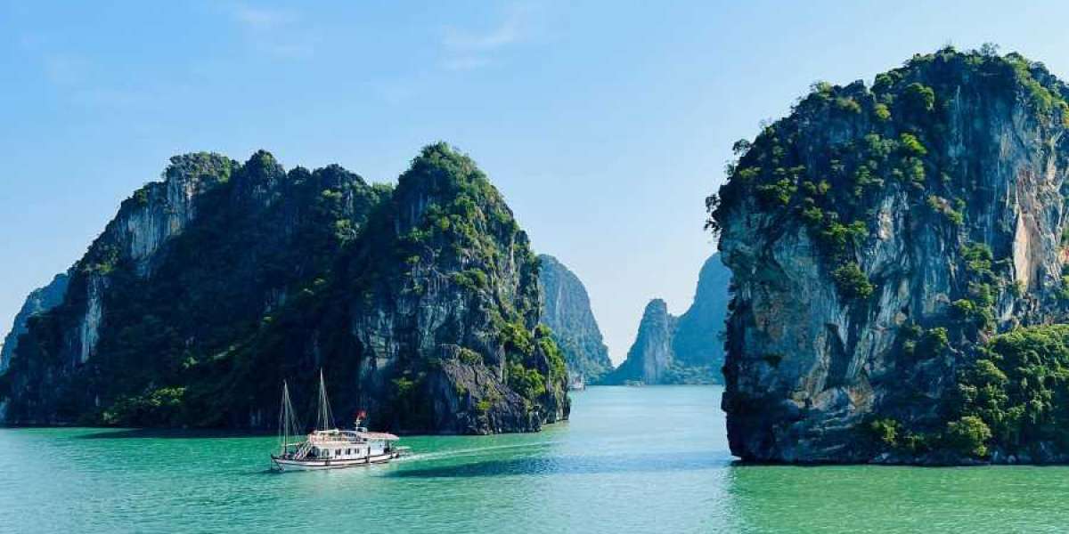 Vietnam Highlights: Exploring the Best Tour Packages