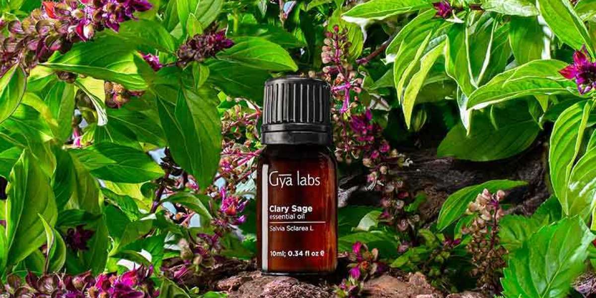 Where to Buy Clary Sage Oil: Discover GyaLabs Clary Sage Essential Oil