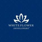 White Flower Developers Profile Picture