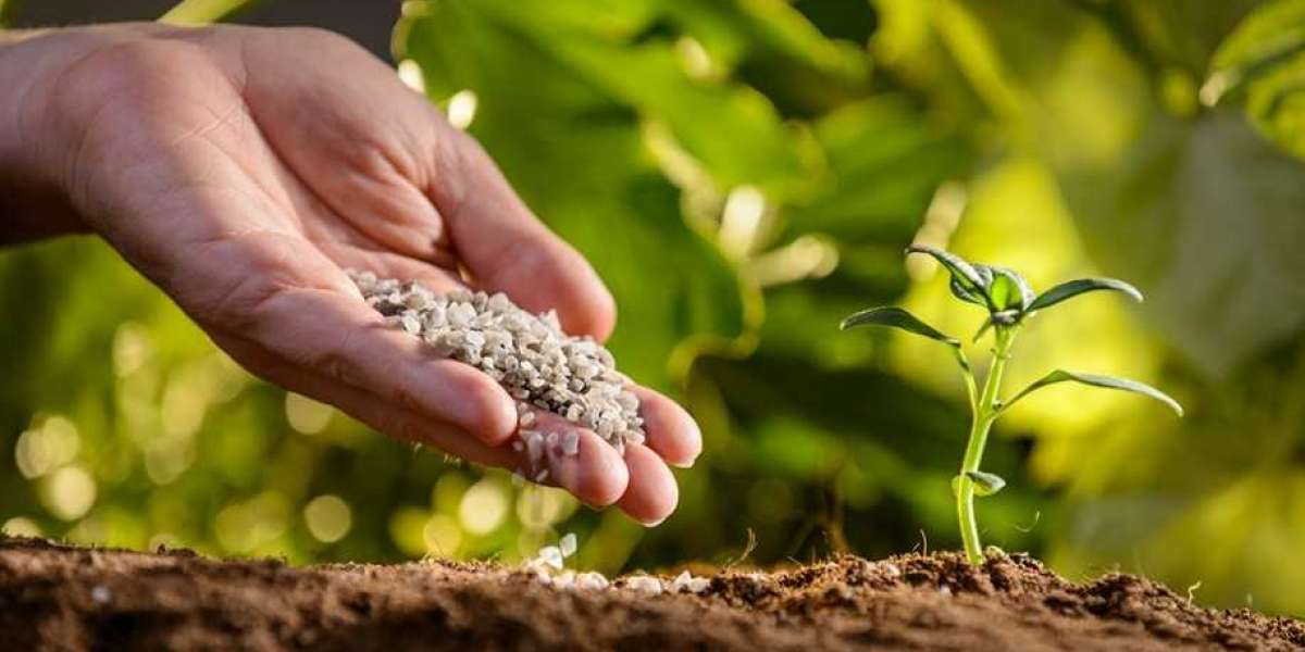 Biological Seed Treatment Market Is Estimated To Witness High Growth