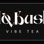 Dovbush Vibe Tea Profile Picture