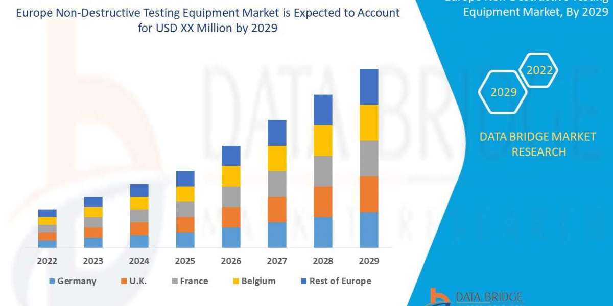 Europe Non-Destructive Testing Equipment Market Opportunities, Share, Growth and Competitive Analysis