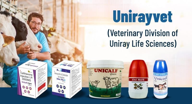 Ayurvedic PCD Franchise Company in India- Uniery Life Science