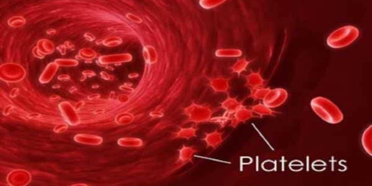 Thrombocytopenia: Causes, Symptoms, and Treatment