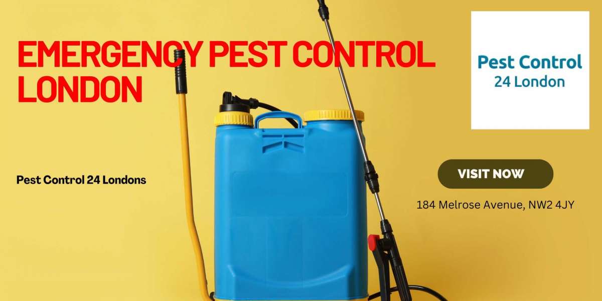Need Emergency Pest Control London? We've Got You Covered!
