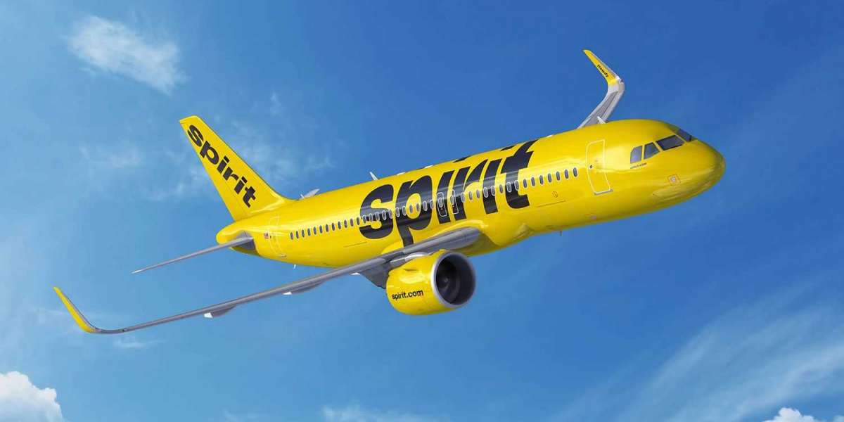 Spirit Airlines Group Booking and Travel