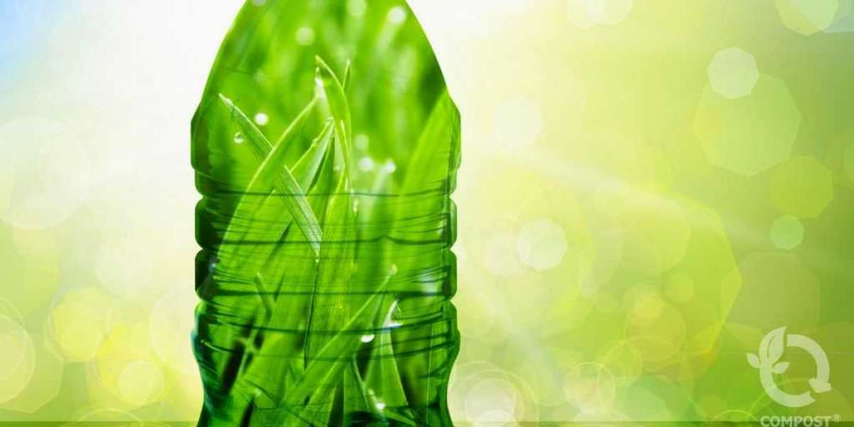The Future of Bio Plasticizers Market: Growing Demand for Sustainable Alternatives