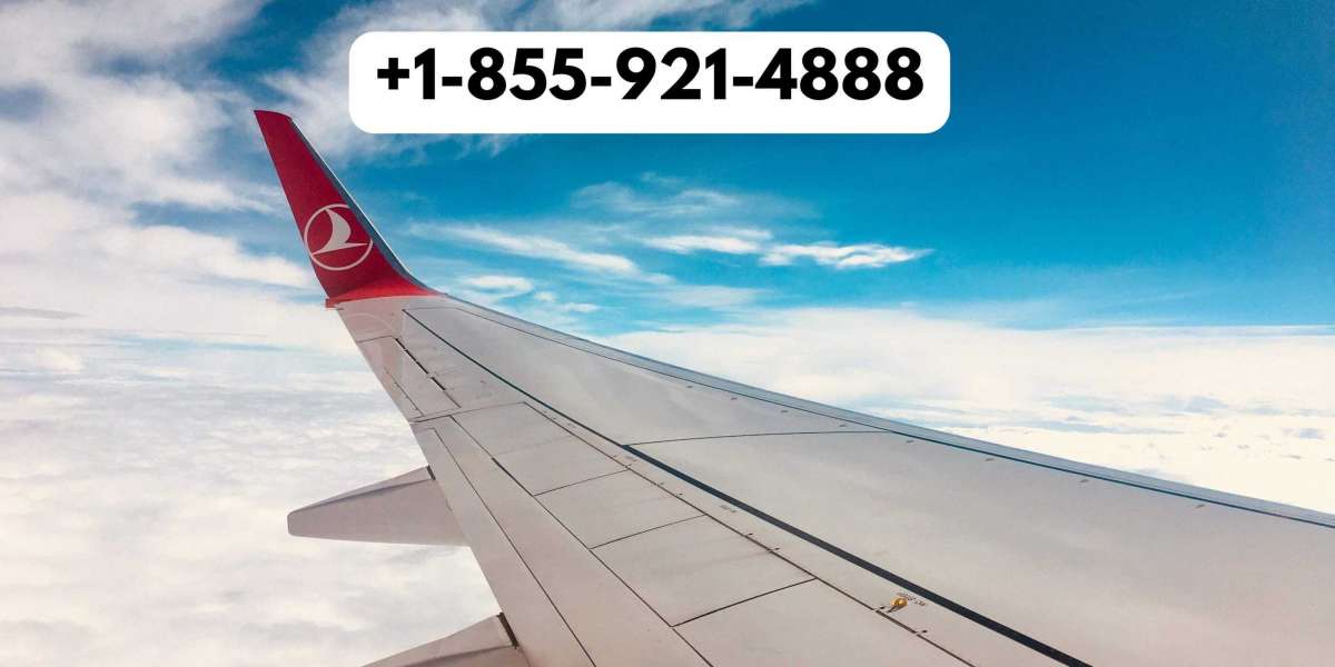 A Guide to Cancelling Your Turkish Airlines Flight