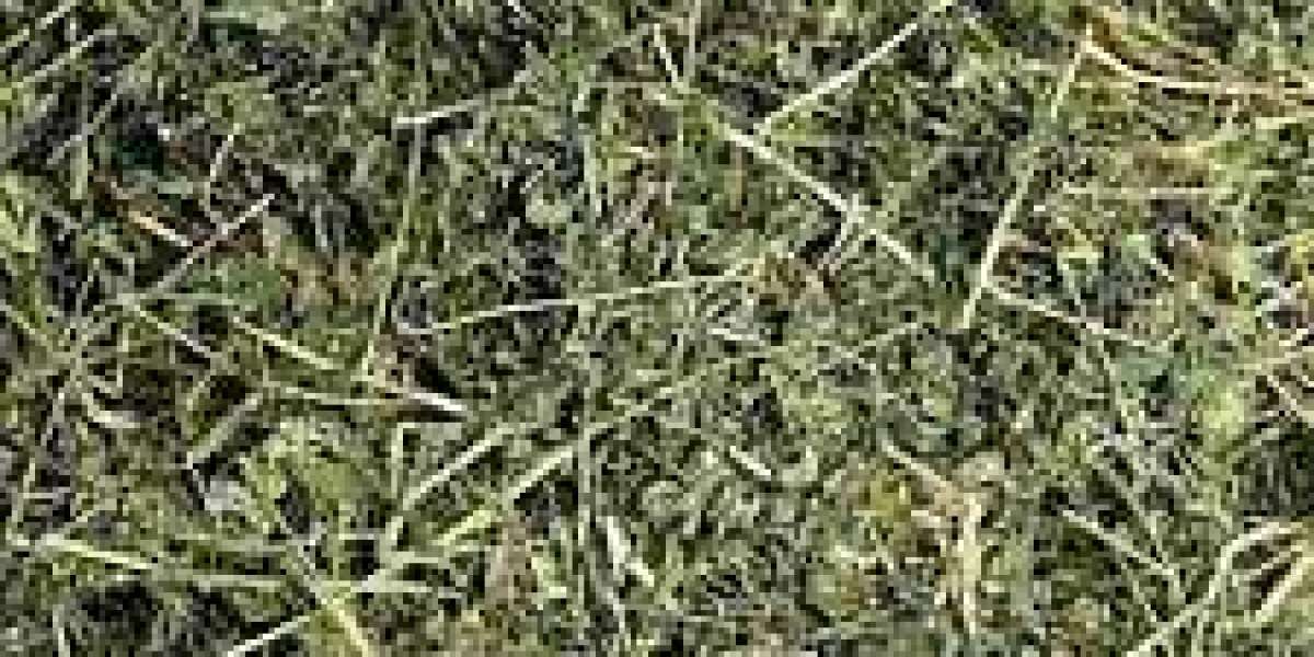 Global Alfalfa Hay Market Is Estimated To Witness High Growth