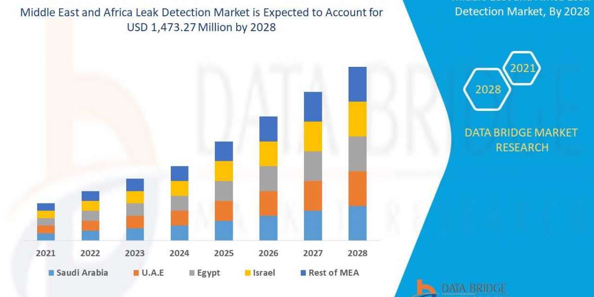 Middle East and Africa Leak Detection Market Growth, Industry Size-Share,Global Trends by 2028