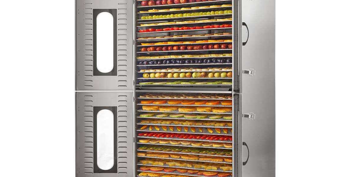 Revolutionizing Processing: The Industrial Dehydrator Guide