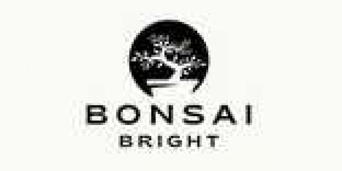 Moonlit Serenade: Bonsai Bright's Lunar Lamp Elegance