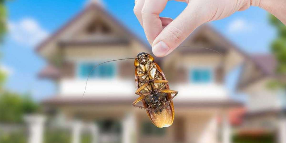 Effective Strategies for Wasp Removal from Chimney Columns