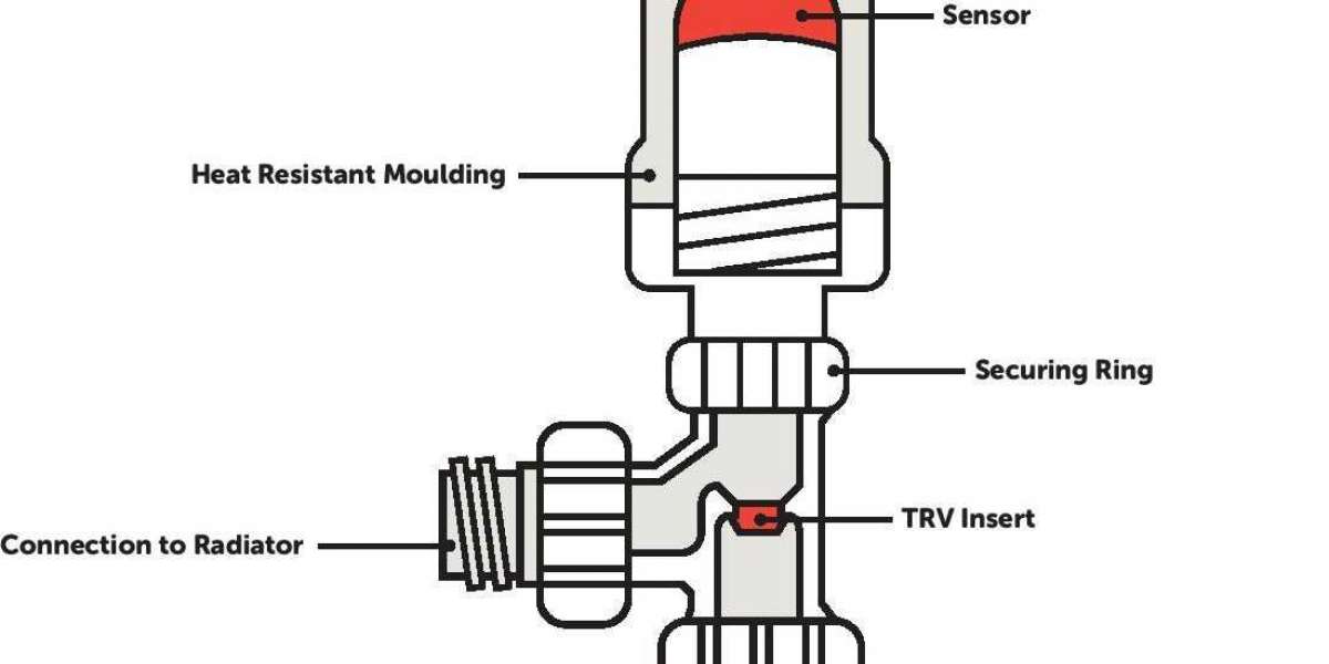 Evaluating the US$ 271.2 Million Revenue Projection for Thermostatic Radiator Valves