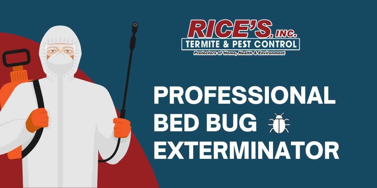 The Importance of Professional Bed Bug Extermination
