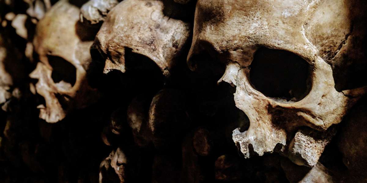 Paris Catacombs Tour with Secret Rooms & Privileged Access