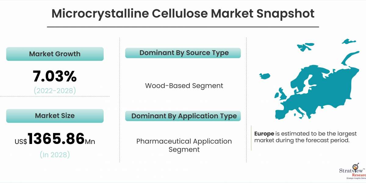 Investing in Innovation: The Future Outlook of the Microcrystalline Cellulose Market